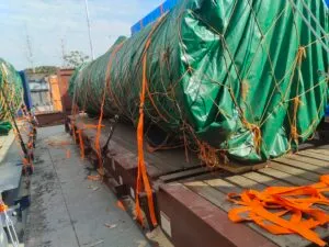 Mega Move Alliance (MMA)